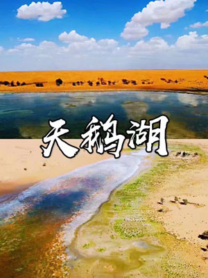天鹅湖营地