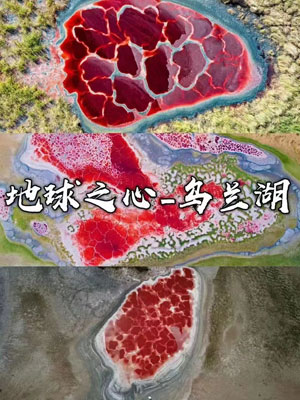 乌兰湖营地